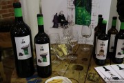 2017_10_4_encuentro_anforai_010