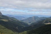 IMG_4080