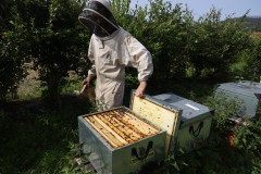 2023_08_abeja_negra_004