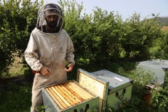 2023_08_abeja_negra_006
