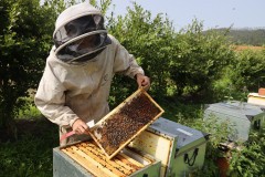 2023_08_abeja_negra_011