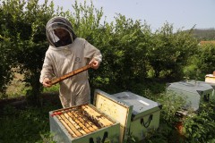 2023_08_abeja_negra_018