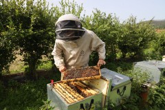 2023_08_abeja_negra_021