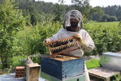 2023_08_abeja_negra_032