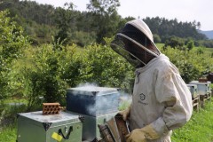 2023_08_abeja_negra_034