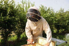 2023_08_abeja_negra_039