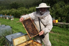 2023_08_abeja_negra_045