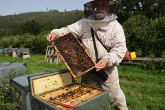 2023_08_abeja_negra_046