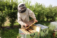 2023_08_abeja_negra_049