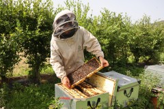 2023_08_abeja_negra_050