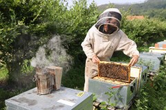 2023_08_abeja_negra_051