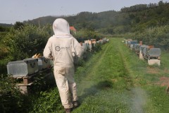 2023_08_abeja_negra_060