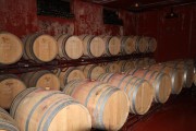 2019_05_cabarizo_031