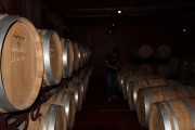 2019_05_cabarizo_033