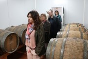 2019_05_esanosvinagre_005