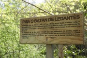 2019_05_ldantes_022