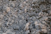 2019_05_picos_046