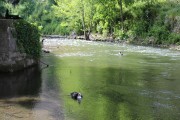 2019_05_potes_010