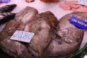 2019_05_pfloren_005