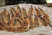 2019_05_pfloren_054