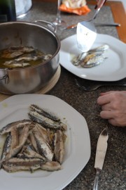 2020_05_25_ajillo_mulecarajonero_007