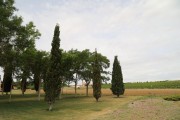 2019_08_castelo_medina_003_mulecarajonero