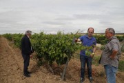 2019_08_castelo_medina_006_mulecarajonero