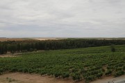 2019_08_castelo_medina_008_mulecarajonero
