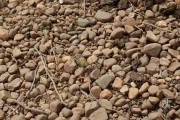 2019_08_castelo_medina_019_mulecarajonero