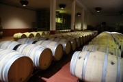 2019_08_castelo_medina_011_mulecarajonero