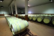 2019_08_castelo_medina_018_mulecarajonero