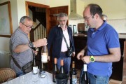 2019_08_castelo_medina_020_mulecarajonero