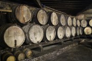 2014_11_bodegas_corral_005