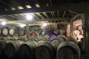 2014_11_bodegas_corral_010