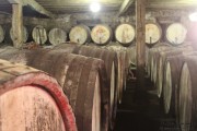 2014_11_bodegas_corral_027