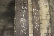 2014_11_bodegas_corral_059
