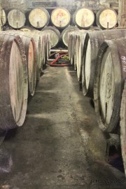 2014_11_bodegas_corral_061