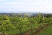 2018_07_miradorio_011