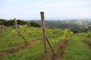 2018_07_miradorio_012