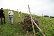 2018_07_miradorio_015