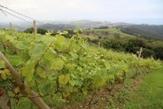 2018_07_miradorio_016