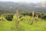2018_07_miradorio_017