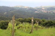 2018_07_miradorio_018