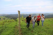 2018_07_miradorio_019
