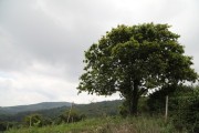 2018_07_miradorio_025