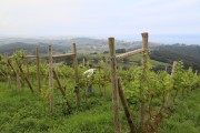 2018_07_miradorio_027