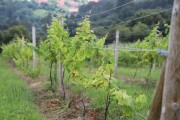 2018_07_miradorio_031