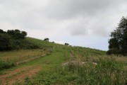 2018_07_miradorio_035