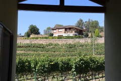 hortanza_slide_007