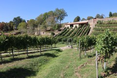 hortanza_slide_014